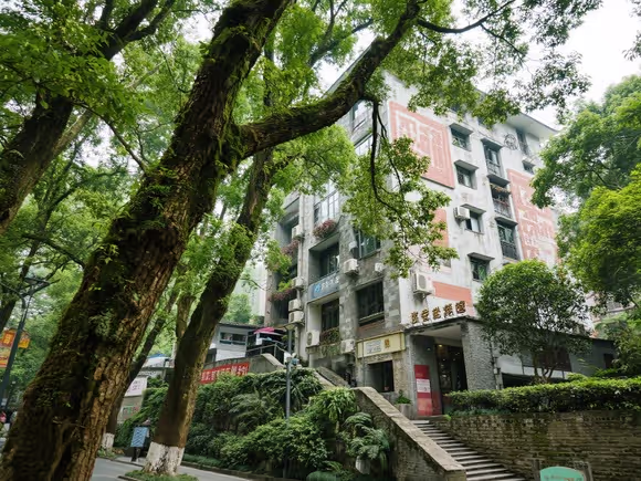 川美旁边景点是什么树种