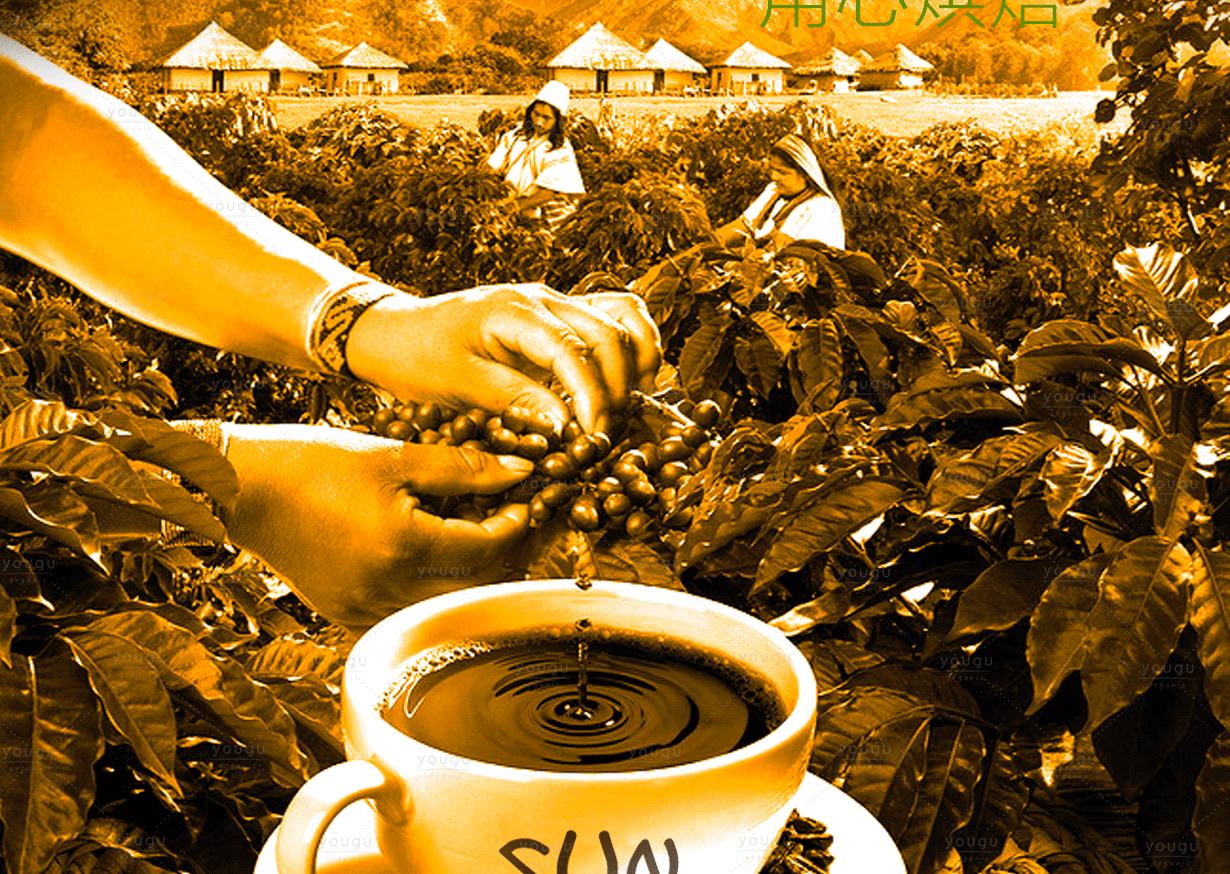 咖啡：流淌在时光里的醇香故事
