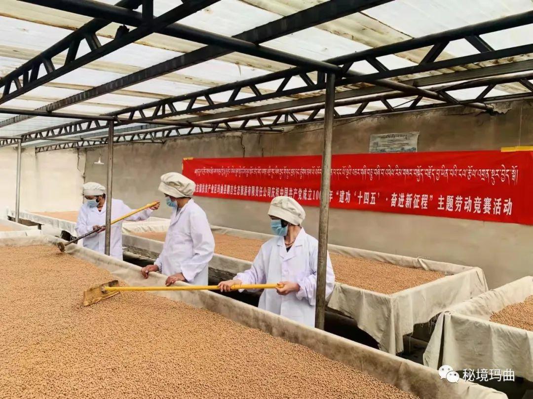 从栏舍到餐桌：解码现代畜牧产业的发展密码