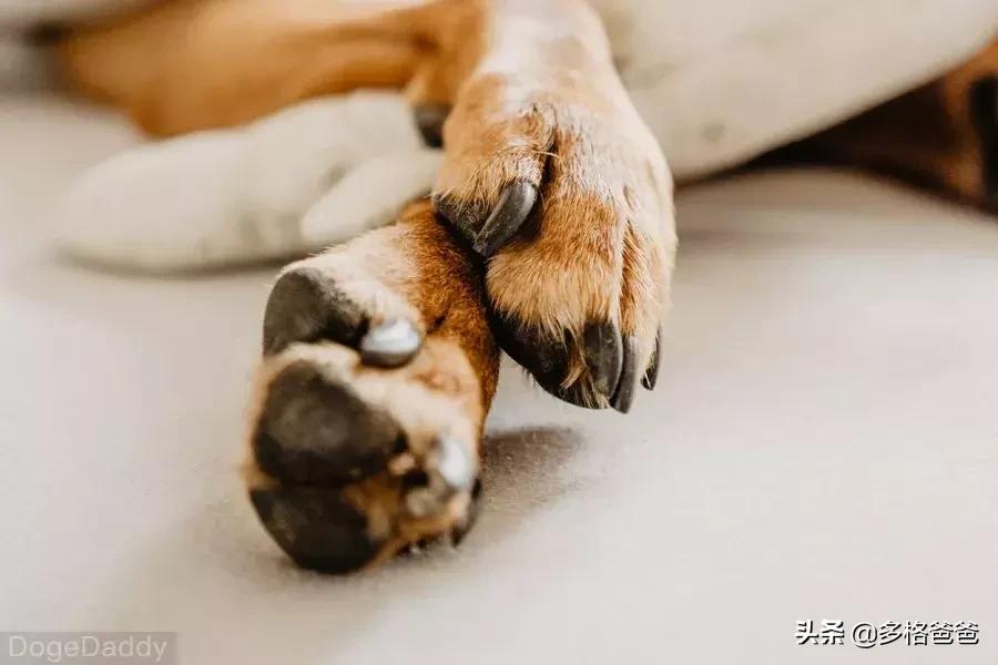 让健康融入日常：藏在生活细节里的生命力密码