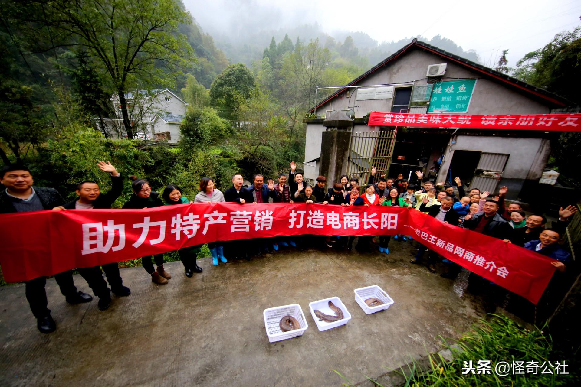泥土里长出的数字翅膀：乡村电商的破茧之路