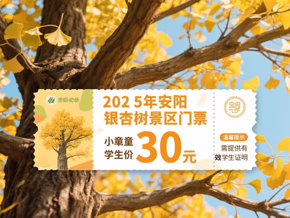 安阳银杏树景区门票多少