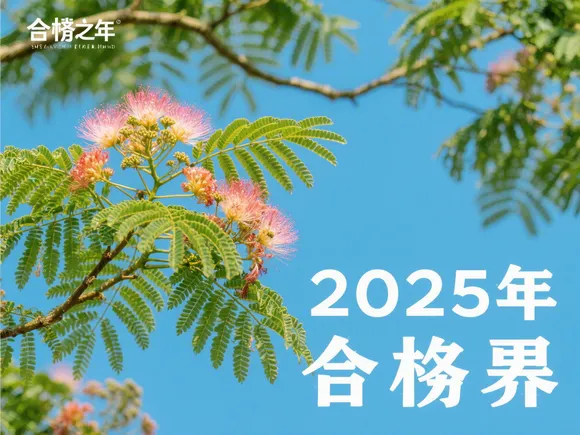合欢树的主要内容
