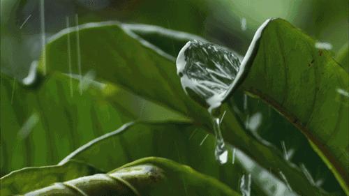 丝缕间的岁月长歌