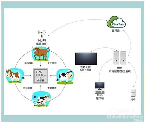 畜牧行业的智能化转型：技术赋能下的产业新图景