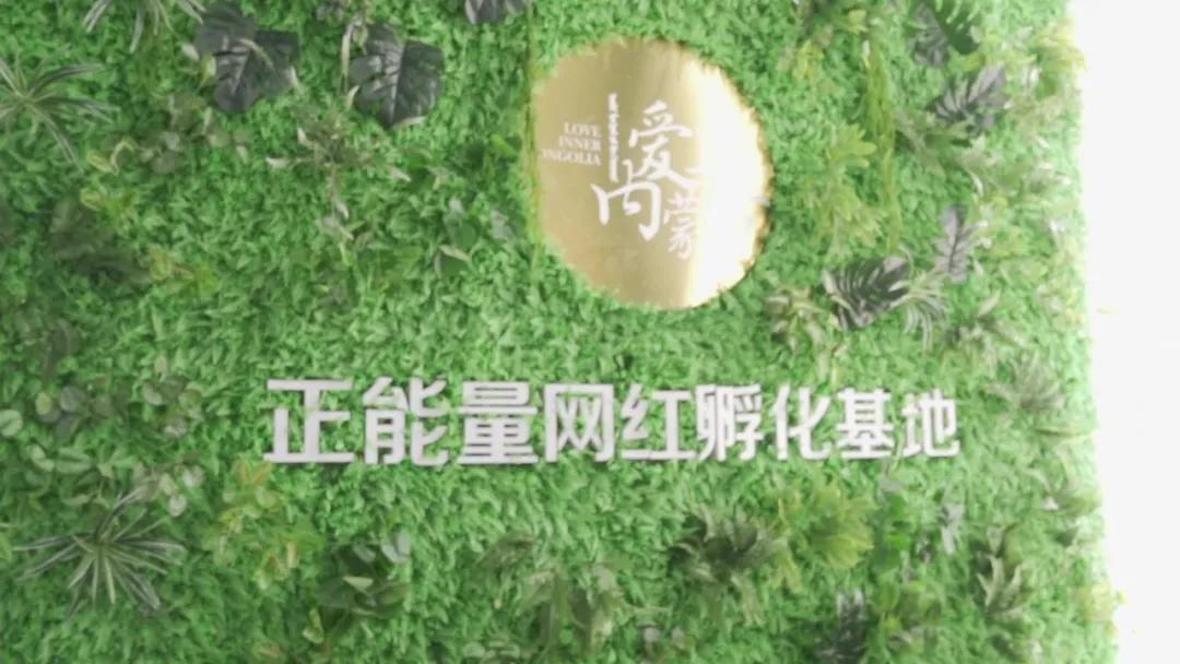 流量囚笼：当网红孵化基地变成荒诞剧场