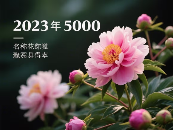 花名称大全500