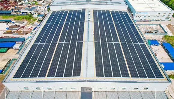 阳光里长出的能源革命