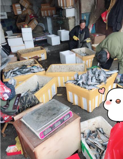 生活的肌理：在日常褶皱里藏着的答案