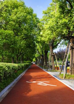 城市绿道：编织在钢筋森林里的自然丝带