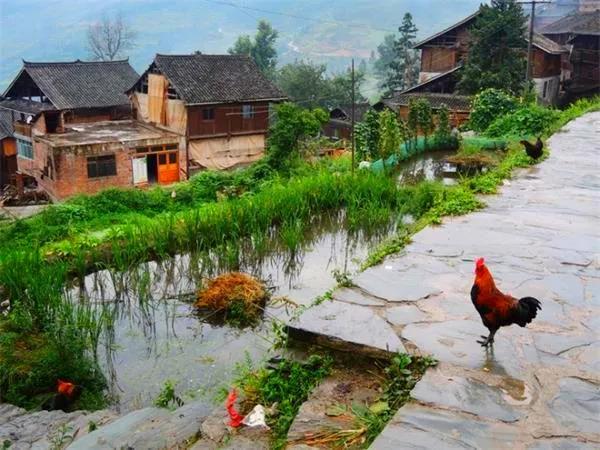 月光漫过青瓦时遇见的乡村