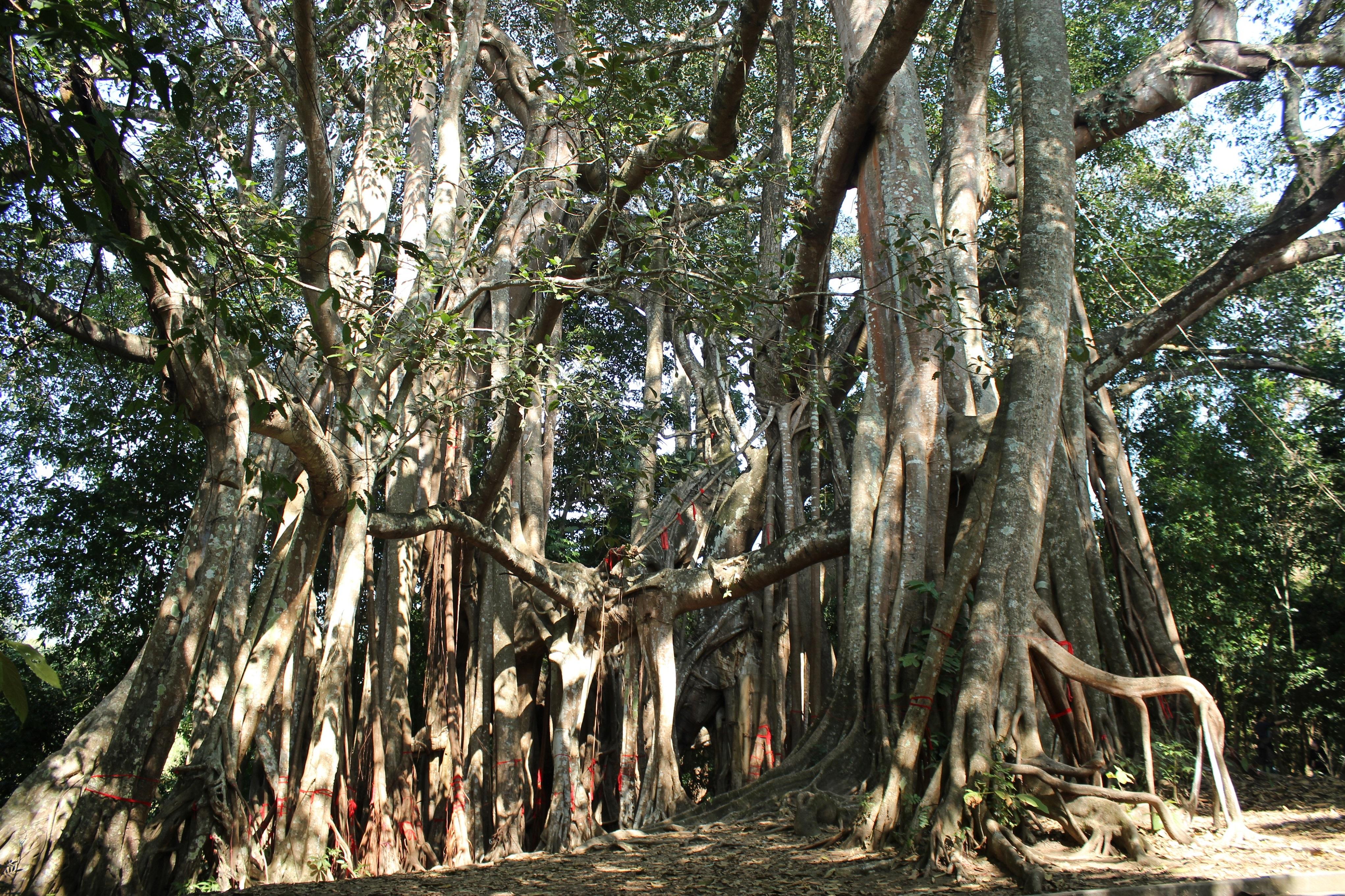 星河错落，人间有暖