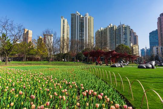 城市公园：藏在钢筋森林里的生活绿洲