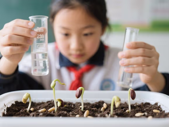 种子发芽实验过程