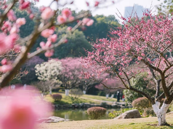广州梅花园有什么景点