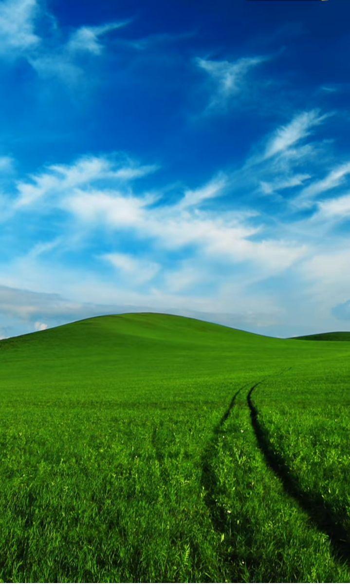 草原深处的牧歌与生灵共舞的岁月