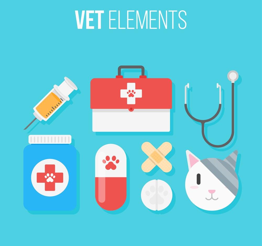 宠物经济浪潮下的多维图景：从医疗到消费的温情蜕变