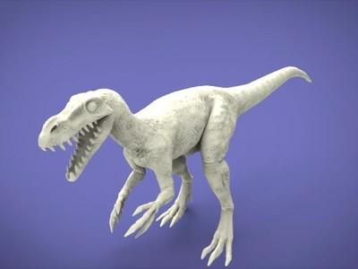 当 3D 打印走进寻常日子：那些藏在打印机背后的奇妙改变