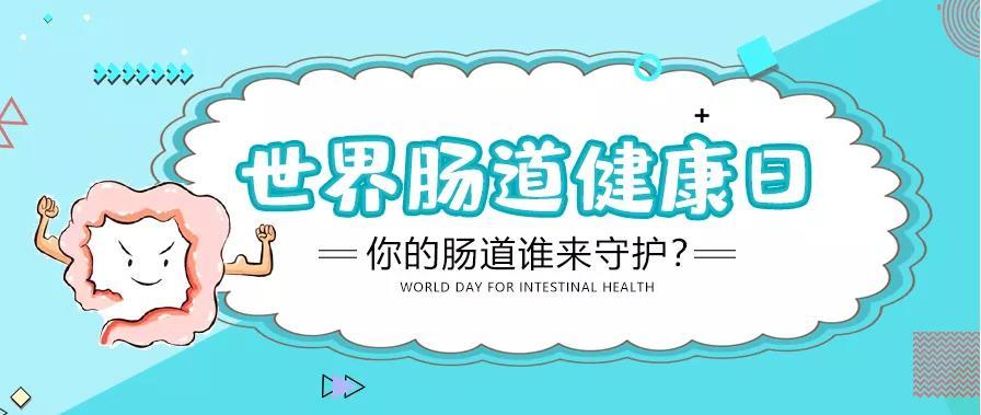肠道健康：身体平衡的隐形支柱