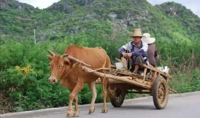 那些载着岁月的车轮碾过多少悲欢