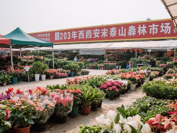 西安秦岭花卉市场