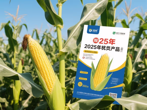 最高产的玉米种子