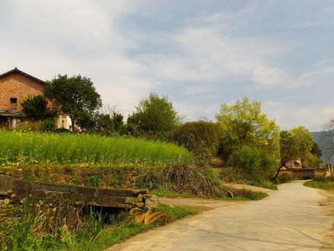 乡村深处的时光褶皱里藏着大地的密码